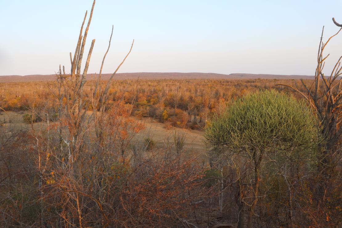 Viewpoint over Beza Mahafaly